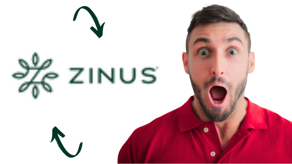 Zinus Feature Image